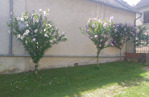 Fontaine-Denis-Nuisy Cottage | Gîte "Chez Papy"
