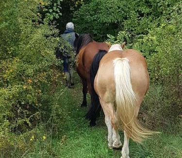 Hauterives House | Gîte Chez Marianne