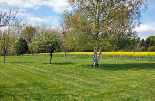 Bretoncelles House | Gîte* chic du Perche+ pony