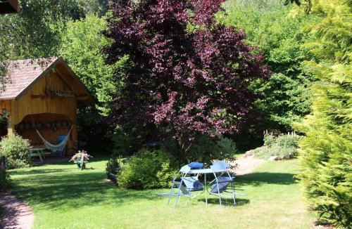 Provencheres-et-Colroy House | Gîte confortable avec jardin privatif près de Saint-Dié-des-Vosges - FR-1-589-844
