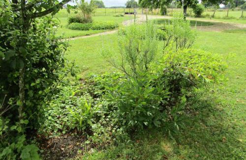 Channay-sur-Lathan House | Gîte confortable avec grand jardin privé et WIFI - FR-1-381-494