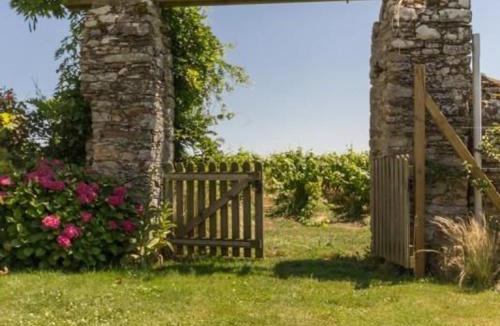 Chateau-Thebaud House | Gîte confortable au cœur des vignes avec terrasse, vélos, WiFi et équipements bébé à 17 km de Nantes - FR-1-306-808
