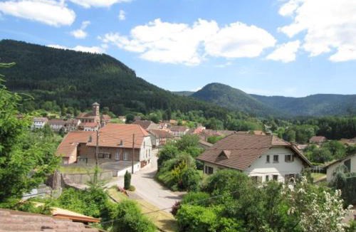 Bionville House | Gîte confortable près du massif Vosgien - FR-1-584-403