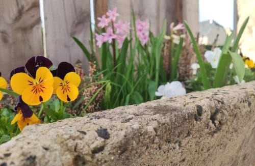 Bozouls House | Gîte cosy avec jardin privé près du canyon de Bozouls