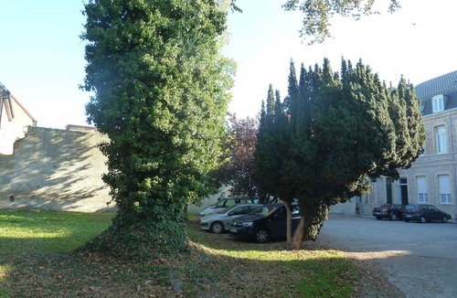 Bergues Apartment | Gîte Coté Cour