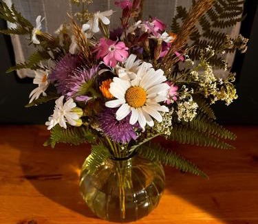 Saint-Avit-de-Tardes House | Gîte Creusois