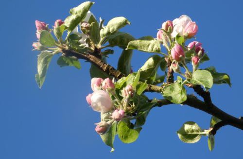 Sainte-Marguerite-de-Viette House | Gîte de Charme Les Petits Matins Bleus