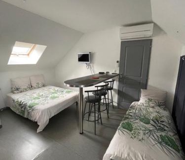 La Chapelle-sur-Loire House | Gîte dans le vignoble de Bourgueil