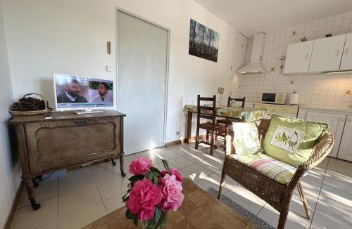 Grenade-sur-l'Adour House | Gîte de balloche