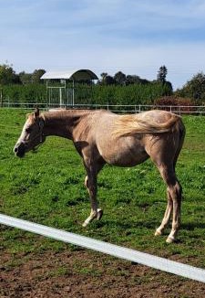 Briec House | Gîte de Bealieu