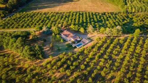 La Romieu Bed & Breakfast | Gîte de Beausoleil