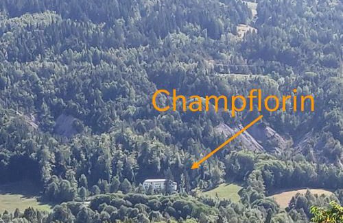 Seyne House | Gîte de Champflorin