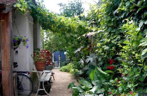 Selles-sur-Cher House | Gîte de charme Courjumelle