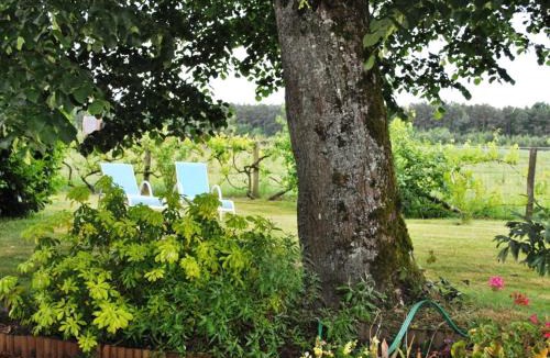 Paulmy House | Gîte de charme en Touraine du Sud, jardin clos, 3 chambres - FR-1-381-321