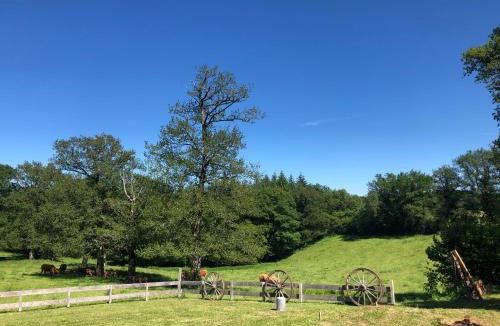 Augeres House | Gîte de charme Les Trois Chênes