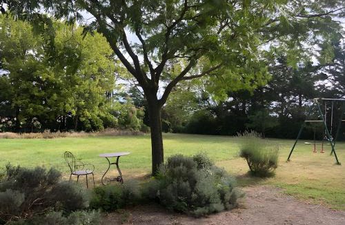 Villasavary House | Gîte De L'albizia
