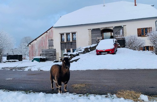 Bouclans Apartment | Gîte de l'Echappée Bêêêle