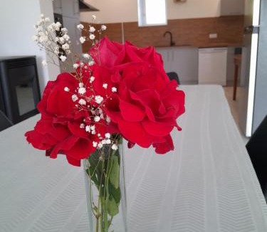 Saint-Jean-d'Aubrigoux House | Gîte de l'Aubrigoux - Maison