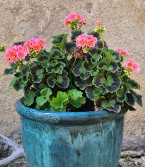 Vivonne House | Gîte de La Bramière