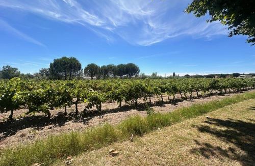 Aigues-Mortes Apartment | Gîte de la Cave Charme provençal avec jardin à Aigues-Mortes