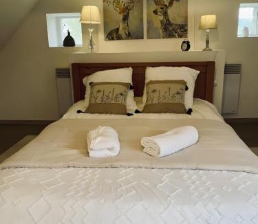 La Chapelle-Janson House | Gîte De La Ferme Du Tilleul