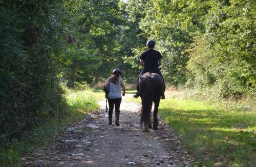 Chateauneuf-sur-Sarthe Apartment | Gîte de la Prairie