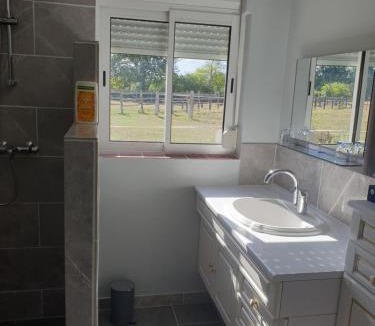 Chateauneuf-sur-Sarthe Apartment | Gîte de la Prairie