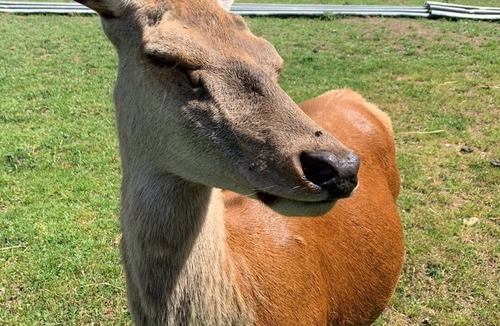 Anizy-le-Chateau House | Gîte de La Pierre Sourde