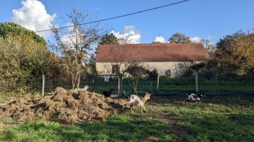 Fondettes House | Gîte de la Pinsonnerie