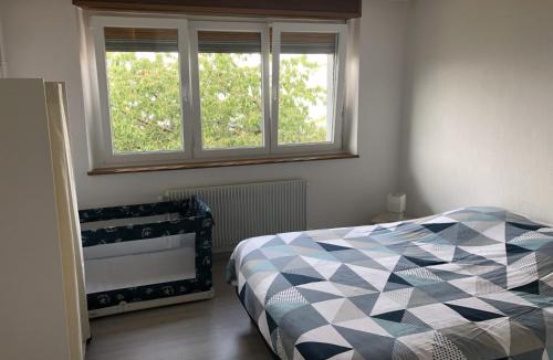 Belmont Apartment | gîte de montagne au pied du Champ du Feu (Alsace)