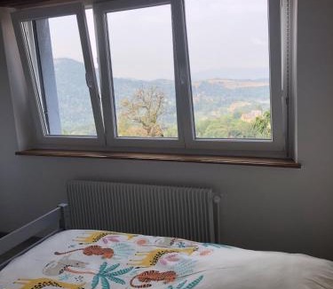 Belmont Apartment | gîte de montagne au pied du Champ du Feu (Alsace)