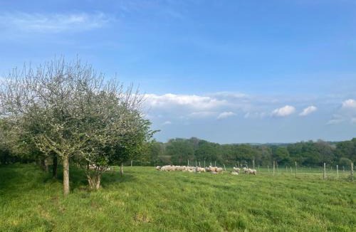 Pont-Scorff House | Gîte de penhaudan 1