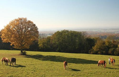 Mondon House | Gîte des 3 Hiboux