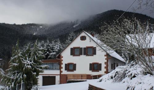 Wangenbourg-Engenthal Apartment | Gîte des abeilles du Kohlberg