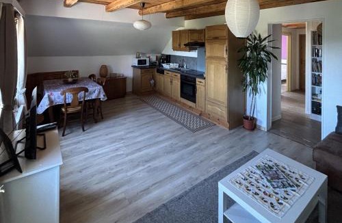 Wangenbourg-Engenthal Apartment | Gîte des abeilles du Kohlberg