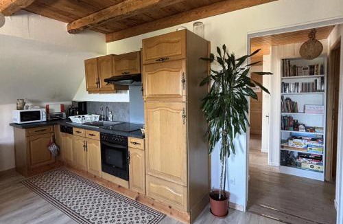 Wangenbourg-Engenthal Apartment | Gîte des abeilles du Kohlberg