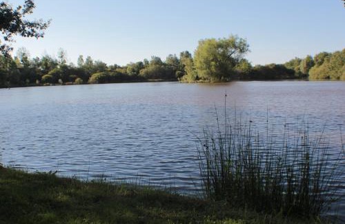 Neung-sur-Beuvron House | Gîte des Belles Fontaines