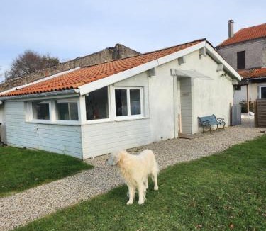 Saint-Vivien-de-Medoc House | Gîte des pins