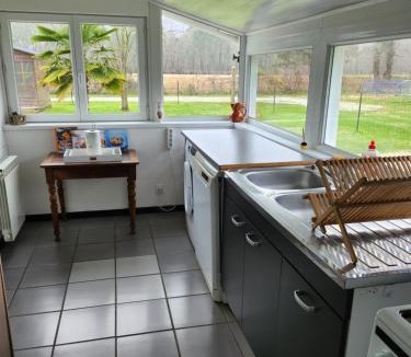 Saint-Vivien-de-Medoc House | Gîte des pins