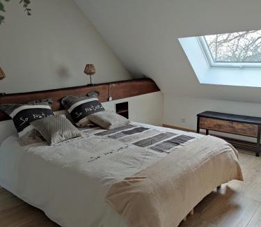 Beaumont-Pied-de-Boeuf House | Gîte des Toucanes