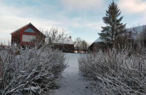 La Flamengrie House | Gîte du Bois la Dame