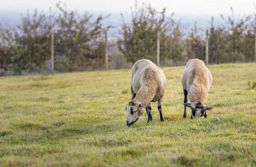 Fiennes House | Gîte du blanc pignon