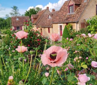 Meobecq House | Gîte du brâme