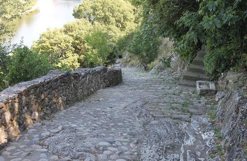 Aigueze House | Gîte du Cabinet de Curiosités