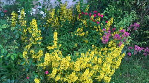 Beautheil House | gîte du Clos Sébastien