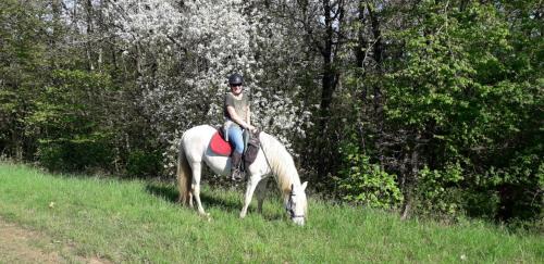 Lantenay House | Gîte du Colombier