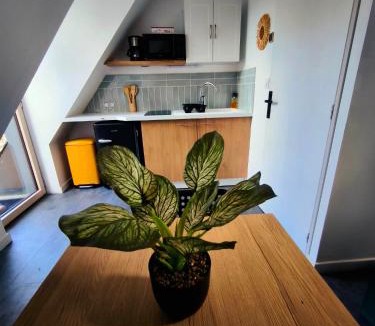 Plumergat Apartment | Gîte du Merlin