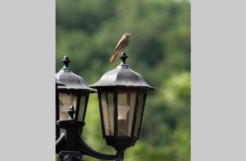 Chouvigny Villa | Gîte du Mont Plaisir