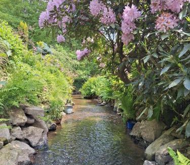 Oisseau House | Gîte du moulin de Tanis