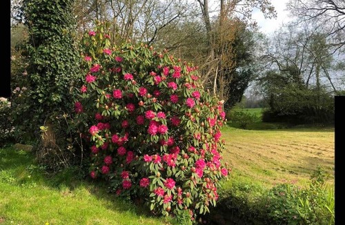 Camlez Apartment | Gîte du moulin de Trostang